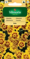 Nasiona i cebule - Aksamitka rozpierzchła pojedyncza Ania 1 g Vilmorin - miniaturka - grafika 1