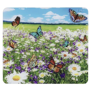 Płyta ochronna na ścianę przy kuchence ze szkła hartowanego 50x56 cm – Maximex - Pozostałe akcesoria kuchenne - miniaturka - grafika 1
