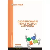 Organizowanie pracy małych zespołów podręcznik - Zarządzanie - miniaturka - grafika 1