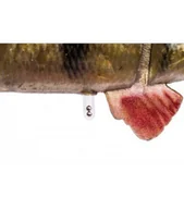 Przynęty - Guma Savage Gear 4D Line Thru Perch 17cm-63g K:02 - miniaturka - grafika 1