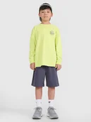 Spodnie i spodenki dla chłopców - 4F Spodenki dresowe chłopięce - szare 122 (6-7 lat) - miniaturka - grafika 1