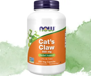 CAT'S CLAW 500mg (Koci Pazur/ VILCACORA) suplement diety 250 kapsułek NOW - Suplementy naturalne - miniaturka - grafika 1