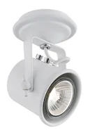 Oprawy, klosze i abażury - Kaspa Spot LAMPA sufitowa ALTER 50275101 metalowa oprawa halogenowa REFLEKTOR IP - miniaturka - grafika 1