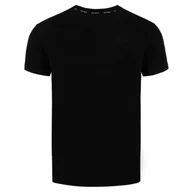 Koszulki sportowe męskie - Koszulka męska T-shirt Alpinus Como czarny - miniaturka - grafika 1