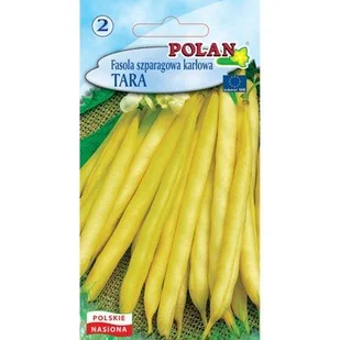 Fasola Tara Polan - Nasiona i cebule - miniaturka - grafika 1