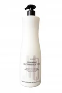Szampony do włosów - Magnetique szampon reconstructor z keratyną i kw hialuronowym 1000 ml - miniaturka - grafika 1