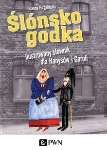 Wydawnictwo Naukowe PWN Ślónsko godka Ilustrowany słownik dla Hanysów i Goroli Joanna Furgalińska - Literatura popularno naukowa dla młodzieży - miniaturka - grafika 1