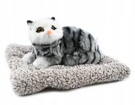 Maskotki i pluszaki - KOT LEŻACY NA PODUSZCE DEKORACJA FIGURKA REALISTYCZNY KOTEK RÓŻNE WZORY - miniaturka - grafika 1