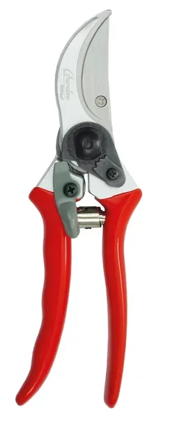 Dedra Garden Sekator Nożycowy Do Cięcia Pędów 80a001