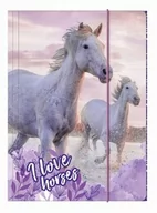 Teczki i skoroszyty - Teczka z gumką A4 Konie 25 Derform DF-TGA4KO25-04062 - miniaturka - grafika 1