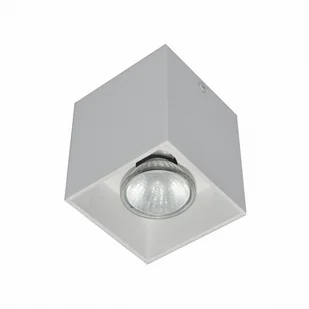 COLOR DL1 SPOT SQUARE BIAŁY/WHITE 50475-WH - Lampy pozostałe - miniaturka - grafika 1