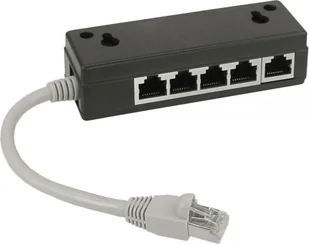 InLine ISDN Splitter 5x RJ45 żeński 15cm Kabel z terminal resistors - 699 - Patchcordy - miniaturka - grafika 1