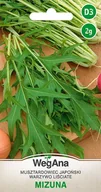 Nasiona i cebule - Mizuna musztardowiec 2g nasiona - WegAna - miniaturka - grafika 1