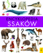 Książki edukacyjne - Encyklopedia ssaków - miniaturka - grafika 1