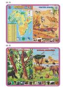 Nieprzypisany Podkładka edukacyjna Afryka mapa fizyczna zwierzęta ? pustynia Sahara dżungla sawanna VISA003