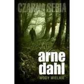 Powieści sensacyjne - Wody wielkie - miniaturka - grafika 1