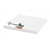 Papier do drukarek - Papier techniczny brystol biały 250 g/m2 Shan 100 arkuszy A3 - miniaturka - grafika 1