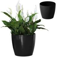 Donice - LAMELA Osłonka plastikowa Magnolia czarna 18cm - miniaturka - grafika 1