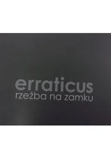 Erraticus rzeźba na zamku - Książki o kulturze i sztuce - miniaturka - grafika 1