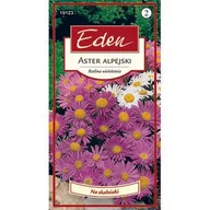 Nasiona i cebule - Aster alpejski mix 0,5 g Eden - miniaturka - grafika 1