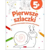 Pedagogika i dydaktyka - Dragon Pierwsze szlaczki - miniaturka - grafika 1