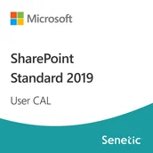 Programy biurowe - SharePoint Standard 2019 User CAL - miniaturka - grafika 1