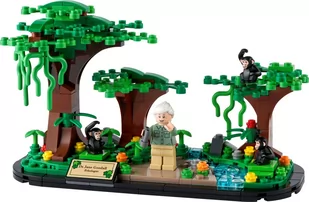 LEGO Hołd dla Jane Goodall 40530 - Klocki - miniaturka - grafika 1