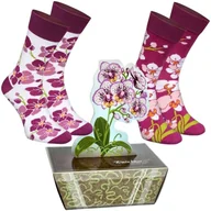 Skarpetki męskie - Skarpetki Zabawne Ciekawe Na Prezent Rainbow Socks Orchid Box 41-46 - miniaturka - grafika 1