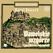 Audiobooki - literatura piękna - Wawelskie wzgórze - miniaturka - grafika 1