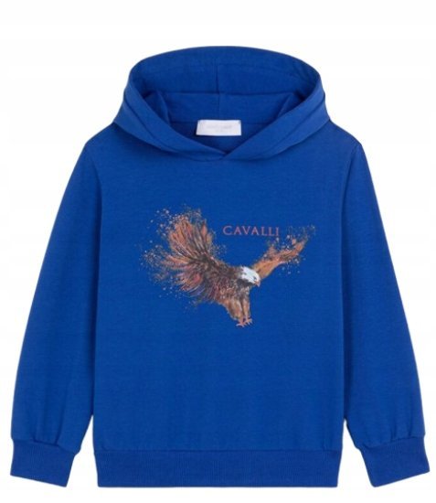 Roberto Cavalli Niebieska Bluza Dziecięca z Kapturem 110-116 K_a