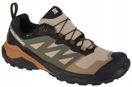 Buty sportowe męskie - Męskie Buty sportowe Salomon X-Adventure Gtx 473213 r. 46 - miniaturka - grafika 1
