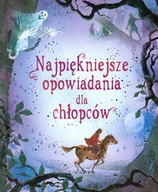 Książki edukacyjne - Najpiękniejsze opowiadania dla chłopców - miniaturka - grafika 1