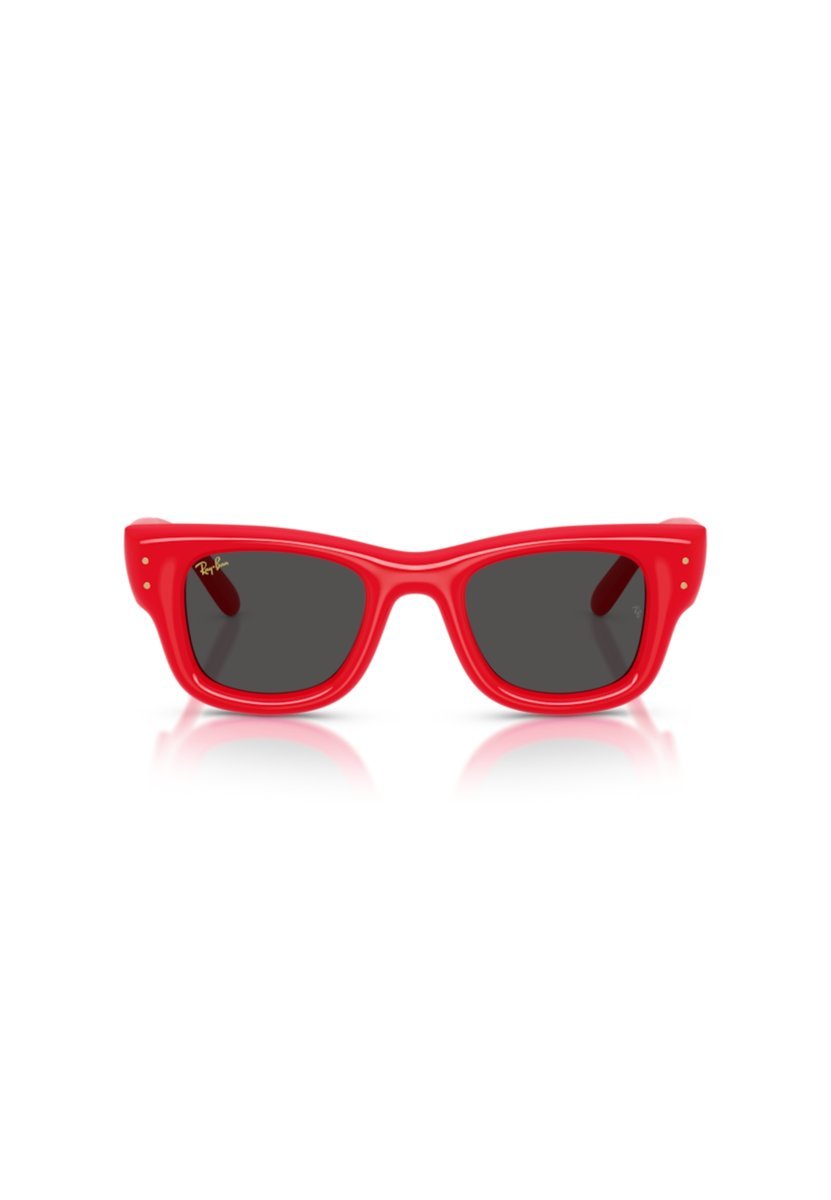 Occhiali da sole Ray Ban Adulto unisex 4940 SOLE