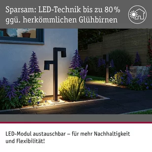 Paulmann słupek oświetleniowy LED Kimu 2, antracytowy, 2-punktowy, 2200 K - Lampy ogrodowe - miniaturka - grafika 3