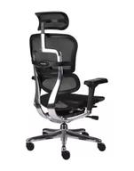 Fotele i krzesła biurowe - Ergonomiczny fotel biurowy Ergohuman Elite 2 BS Black - czarny nowoczesny fotel siatkowy - miniaturka - grafika 1