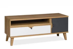 Szafka RTV na nóżkach biała, czarna, dąb złoty BORIA Konsimo - Szafki RTV - miniaturka - grafika 1