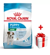 Sucha karma dla psów - ROYAL CANIN Mini Puppy 2kg karma sucha dla szczeniąt, od 2 do 10 miesiąca życia, ras małych - miniaturka - grafika 1