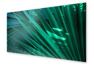 Panel kuchenny HOMEPRINT Zielone liście palmy 125x50 cm - Dekoracje domu - miniaturka - grafika 1