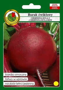 Burak Czerwona Kula 500 g PNOS - Nasiona i cebule - miniaturka - grafika 1