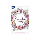 Poradniki hobbystyczne - Kolorowanka antystresowa A5 Magiczna Łąka 5301104 - miniaturka - grafika 1