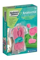 Zabawki kreatywne - Naukowa Zabawa. Anatomia - Clementoni - miniaturka - grafika 1
