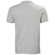 Koszulki męskie - Męska Koszulka z krótkim rękawem HELLY HANSEN NORD GRAPHIC T-SHIRT 62978_950 – Szary - miniaturka - grafika 1