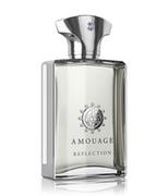 Wody i perfumy męskie - Amouage Reflection Man woda perfumowana 100 ml - miniaturka - grafika 1