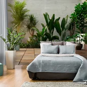 Fototapety - Fototapeta samoprzylepna - Domowy ogród (rozmiar 147x105) - miniaturka - grafika 1