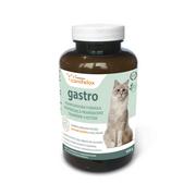 Suplementy i witaminy dla kotów - Canifelox Gastro 120 g dla kotów na prawidłowe trawienie - miniaturka - grafika 1