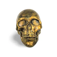 Figurki dekoracyjne - Figura Czaszka złota - miniaturka - grafika 1