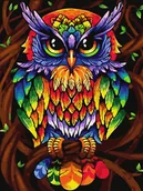 Zabawki kreatywne - Haft Diamentowy Bez Ramy Tęczowa Sowa 30x40 Mozaika Diamentowa 5d - miniaturka - grafika 1