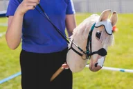 Puzzle - PUZZLE HOBBY HORSE KONIE KOŃ A3 252 el z Nadrukiem + IMIĘ Pudełko #58 - miniaturka - grafika 1