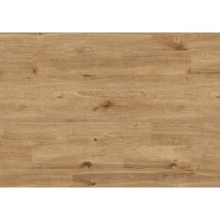 Panel podłogowy AC5 8 mm dąb solar - Panele podłogowe - miniaturka - grafika 1