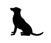 Sucha karma dla psów - Zestaw dla Kundelka - miniaturka - grafika 1